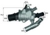 FIAT 55190049 Thermostat, coolant